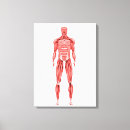 Pesquisar por imagens 3d impressão de canvas Ilustrações biomédicas