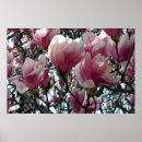 Pesquisar por flores cor de rosa da árvore pôsteres pósteres Para todos