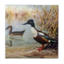 Pesquisar por pato azulejos Vintage