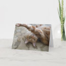 Pesquisar por gato alaranjado cartoes Fotografia