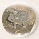 Pesquisar por anfíbios porta copos Natureza