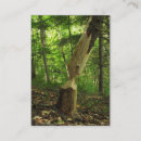 Pesquisar por castor meu cartao de visita Roedor