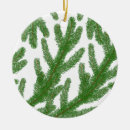 Pesquisar por galho ornamentos Verde