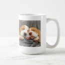 Pesquisar por do filhote cachorro canecas Filhotes de cachorro