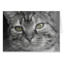 Pesquisar por gato preto olhos verdes cartoes postais Fotografia