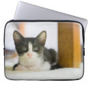 Pesquisar por pessoas laptop sleeves Animais do bebê