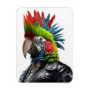 Pesquisar por rocker imas Engraçado