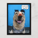 Pesquisar por labrador retriever amarelo cartoes postais Laboratório