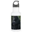 Pesquisar por chimpanzé garrafa agua Primata