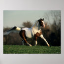 Pesquisar por manse pósteres Raça