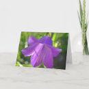 Pesquisar por carimbo postal cartoes Qualquer pessoa