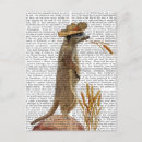 Pesquisar por suricate Suricata