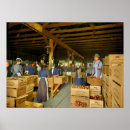 Pesquisar por embalagens pôsteres pósteres Para todos