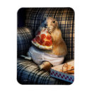 Pesquisar por pizza humor imas Animal