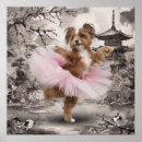 Pesquisar por ballerina pôsteres pósteres Qualquer pessoa