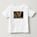 Pesquisar por olho grande camisetas Vida selvagem