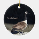 Pesquisar por canadense ornamentos Vida selvagem