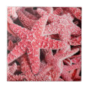 Pesquisar por estrela mar azulejos Tropical