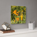 Pesquisar por manipulada pôsteres pósteres Natureza