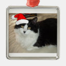 Pesquisar por natal do gato preto ornamentos Para pets