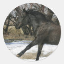 Pesquisar por mustang adesivos Bob langrish