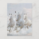 Pesquisar por cavalos selvagens cartoes postais Cabeça de cavalo