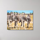 Pesquisar por da zebra impressão impressão de canvas Selvagem
