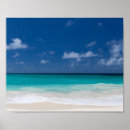 Pesquisar por tropical na pôsteres pósteres Para todos