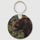 Pesquisar por grizzly chaveiros Urso