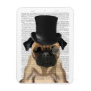 Pesquisar por pug cozinha imas Cãibra
