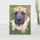 Pesquisar por cute puppy cartoes Adorable