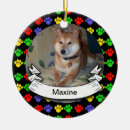Pesquisar por coloridos gatos para ornamentos Para pets