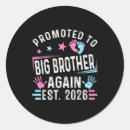 Pesquisar por brother adesivos 2026