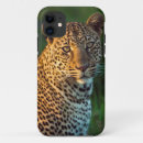 Pesquisar por adultos iphone 11 capas Animal