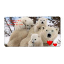 Pesquisar por urso polar etiquetas Para todos