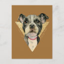 Pesquisar por pitbull branco cartoes postais Animal