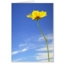 Pesquisar por flor bom dia cartoes postais Amarelo