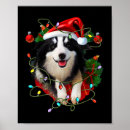 Pesquisar por border collie pósteres Borda