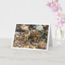 Pesquisar por boina cartoes Para todos