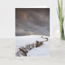 Pesquisar por natura cartoes Scenic