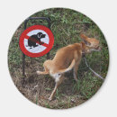 Pesquisar por a felicidade é imas Humor