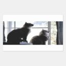Pesquisar por gato curioso adesivos Gatos