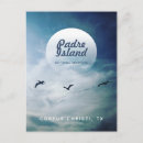 Pesquisar por pelicanos brancos cartoes postais Pássaros