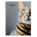 Pesquisar por gato de bengal Foto