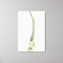 Pesquisar por complexidade impressão de canvas Biologia