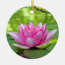 Pesquisar por lotus ornamentos Lírios