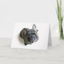 Pesquisar por french bulldog cartoes Purebred