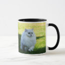 Pesquisar por gato persa branco canecas Gatinho