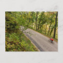 Pesquisar por ciclo de vida cartoes postais Ciclismo