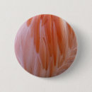 Pesquisar por flamingo botons Natureza